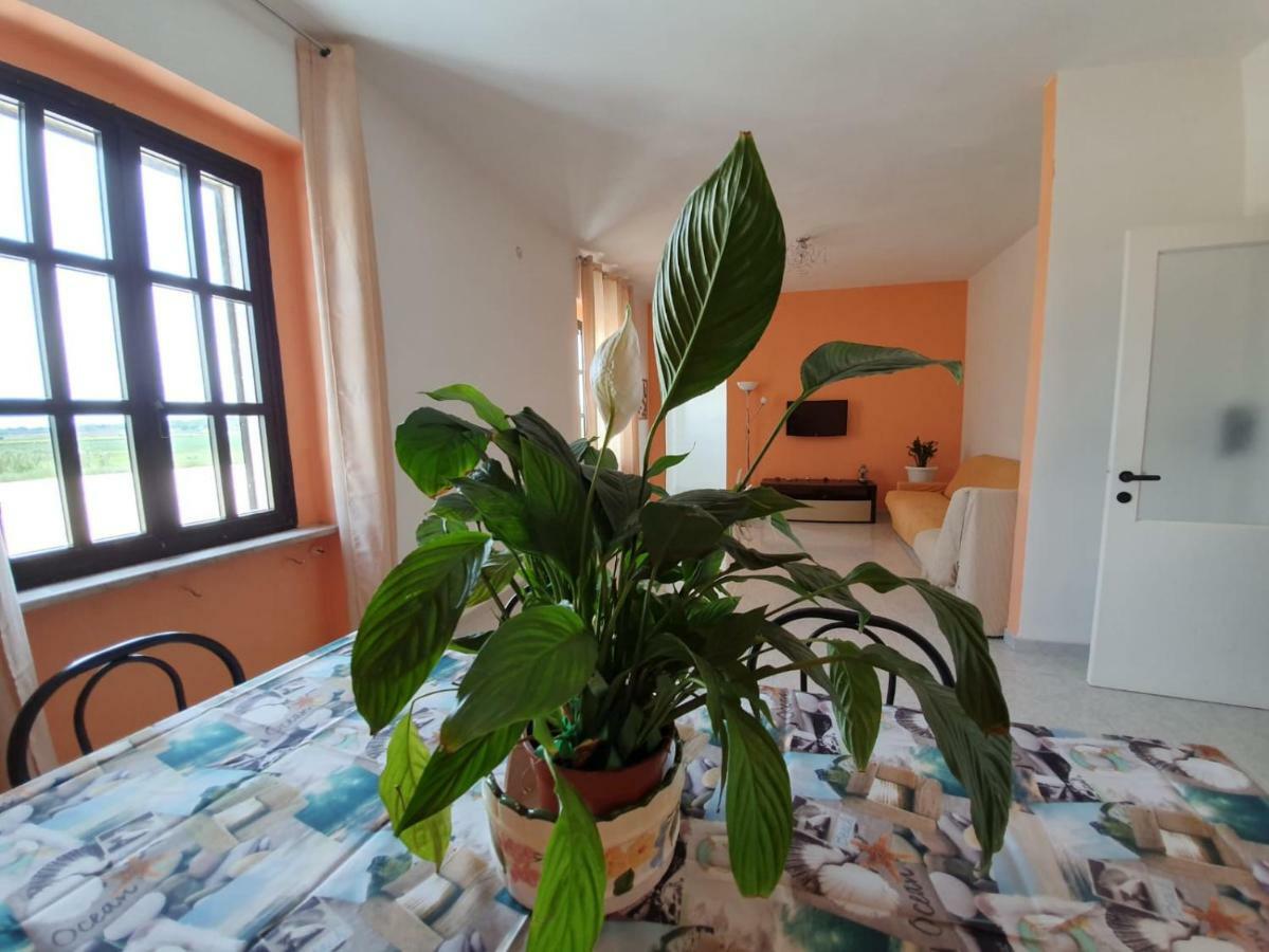 Il Casale Di Zi'Leo Bed & Breakfast Кампомарино Екстериор снимка